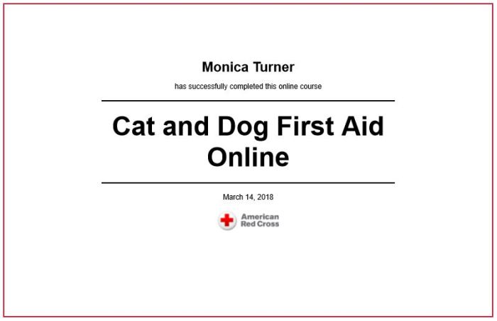 Cat and Dog First Aid Online Certificate Tags: dog training, cat training, positive reinforcement training, positive reinforcement trainer, clicker trainer, kind training, fun training, dog trainer, cat trainer, animal trainer, pet trainer, pet training, Cheyenne Wyoming, Cheyenne dog training, trick training, trick trainer, positive reinforcement, positive methods, force free, fear free, canine good citizen, cat and dog first aid, pet first aid